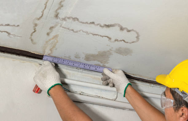Affordable Basement Flood Cleanup solutions in New Site, MS